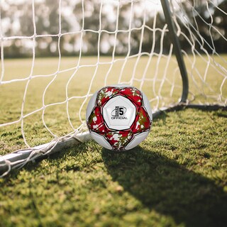 Foto 5 | Foto 5 | Balon De Futbol Soccer No. 5 Marca Le Shark