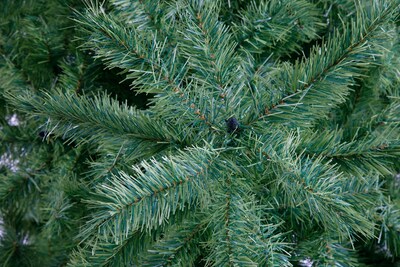 Foto 2 | Foto 2 | Arbol de Navidad Pino Alpino No.6 De 190 cm Naviplastic 31860 Verde