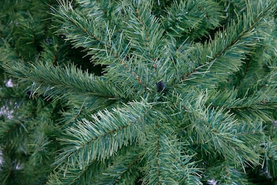 Foto 2 | Foto 2 | Arbol de Navidad Pino Alpino No.8 De 250 cm Naviplastic 31880 Verde