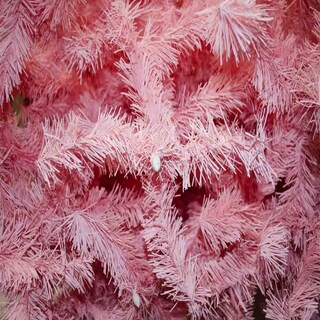 Foto 3 | Foto 3 | Árbol Navideño Kyuden Home Valley Rosa 1.90 m
