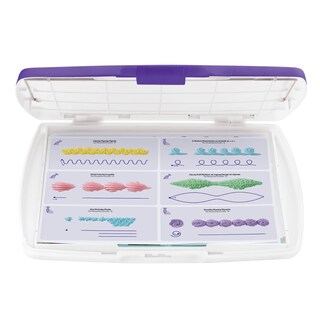 Foto 2 | Foto 2 | Tabla De Práctica Wilton Blanco/morado 33 X 27 Cm - Venta Internacional.