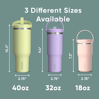 Foto 5 | Foto 5 | Vaso Hydrapeak Nomad De 950 Ml Con Asa Y Tapa Con Pajita, Acero Inoxidable - Venta Internacional.
