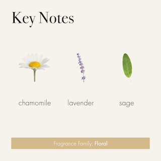 Foto 3 | Foto 3 | Recarga De Difusor Inteligente Lafco New York Pura Chamomile Lavender - Venta Internacional.
