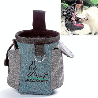 Foto 1 | Foto 1 | Riñonera Para Entrenamiento De Mascotas Y Actividades Al Aire Libre, Color Azul Cielo - Venta Internacional.