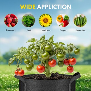 Foto 5 | Foto 5 | Paquete De 20 Bolsas Grow Bags Ipower De 3 Galones (11 Litros) Con Etiquetas Y Asas - Venta Internacional.