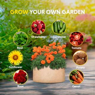Foto 3 | Foto 3 | Grow Bags Ipower, Paquete De 12 Unidades, 19 L, Tela No Tejida Resistente, Color Canela - Venta Internacional.