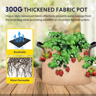 Foto 5 | Foto 5 | Grow Bags Ipower, Paquete De 12 Unidades, 19 L, Tela No Tejida Resistente, Color Canela - Venta Internacional.