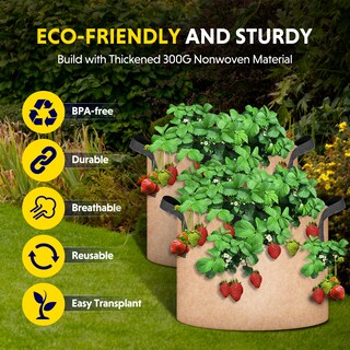 Foto 6 | Foto 6 | Grow Bags Ipower, Paquete De 12 Unidades, 19 L, Tela No Tejida Resistente, Color Canela - Venta Internacional.
