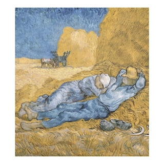 Foto 1 | Foto 1 | Funda Magnética Para Lavavajillas Naanle The Siesta Van Gogh, 23 X 26 Cm - Venta Internacional.