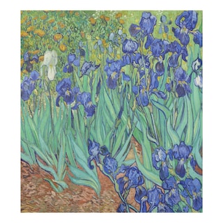 Foto 1 | Foto 1 | Funda Magnética Para Lavavajillas Naanle Irises Van Gogh, 58 X 66 Cm - Venta Internacional.