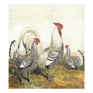 Foto 1 | Foto 1 | Funda Magnética Para Lavavajillas Naanle Vintage Rooster, 58 X 66 Cm - Venta Internacional.