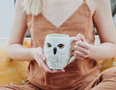 Foto 7 | Foto 7 | Taza De Cerámica Silver Buffalo Harry Potter Hedwig, 600 Ml - Venta Internacional.