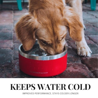 Foto 4 | Foto 4 | Cuenco Para Perros The Coldest Water, Acero Inoxidable, Antideslizante, 3,5 L - Venta Internacional.