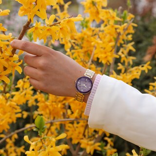 Foto 4 | Foto 4 | Reloj Anne Klein Ak 1362prgb Correa Metálica para Mujer - Venta Internacional