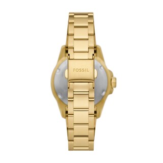Foto 3 | Foto 3 | Reloj Fossil Dive Blue Para Mujer De Acero Inoxidable Dorado Es5350 - Venta Internacional.
