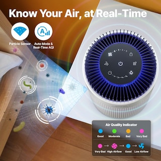 Foto 5 | Foto 5 | Purificador De Aire Coway Para Dormitorio Y Hogar De Hasta 450 Pies Cuadrados Con Filtro - Venta Internacional.