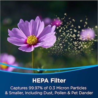 Foto 5 | Foto 5 | Filtros de Repuesto Purificadores de Aire Bissell Air220 3315 Negro - Venta Internacional