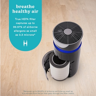 Foto 2 | Foto 2 | Filtro de Repuesto para Purificador de Aire Homedics Totalclean True Hepa - Venta Internacional