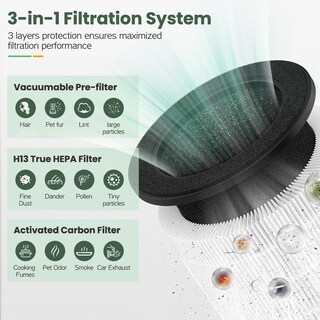 Foto 3 | Foto 3 | Paquete De 2 Filtros De Aire Airmega 100 Compatibles Con Purificador De Aire Coway - Venta Internacional.