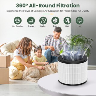 Foto 7 | Foto 7 | Paquete De 2 Filtros De Aire Airmega 100 Compatibles Con Purificador De Aire Coway - Venta Internacional.