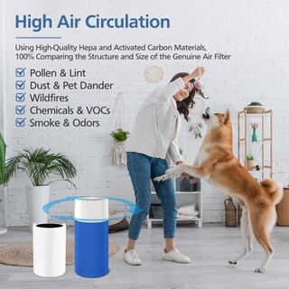 Foto 5 | Foto 5 | Filtros De Repuesto Blue Pure 411 Air Purifier Cabiclean - Venta Internacional.