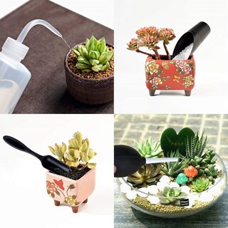 Foto 2 | Foto 2 | Juego De Herramientas De Jardinería Para Bonsái