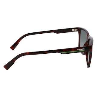 Foto 7 | Foto 7 | Lentes De Sol Lacoste Hombre L6039s Havana