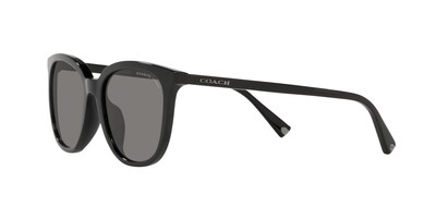 Foto 3 | Foto 3 | Lente De Sol Coach Hc8338u Color Gris Oscuro Forma Cuadrada Para Hombre Polarizado