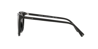 Foto 4 | Foto 4 | Lente De Sol Coach Hc8338u Color Gris Oscuro Forma Cuadrada Para Hombre Polarizado