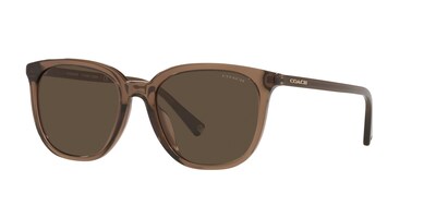 Foto 2 | Foto 2 | Lente De Sol Coach 0hc8338u Color Marrón Sólido Forma Cuadrada