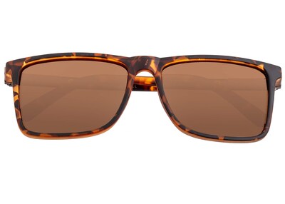 Foto 1 | Foto 1 | Gafas De Sol Breed Caelum Polarizadas Para Hombre Color Marrón Y Tortuga - Venta Internacional.