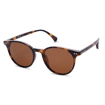 Lentes de Sol Sojos Cafés para Mujer-Venta Internacional