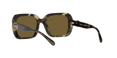 Foto 6 | Foto 6 | Lente De Sol Coach 0hc8329u Color Marrón Oscuro Sólido Forma Cuadrada