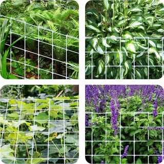 Foto 7 | Foto 7 | Trellis Netting Simple Deluxe Elastic, 1,2 X 1,2 M, Paquete De 2 Unidades, Color Blanco - Venta Internacional.