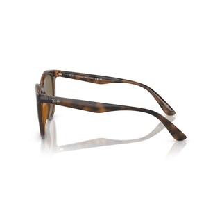 Foto 3 | Foto 3 | Lentes de Sol Unisex Ray-Ban Redondos Marrón