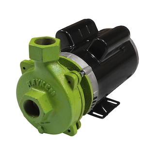 Foto 1 | Foto 1 | Bomba Eléctrica de Agua Rayken 1.5 Hp Verde