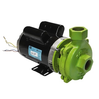 Foto 2 | Foto 2 | Bomba Eléctrica de Agua Rayken 1.5 Hp Verde