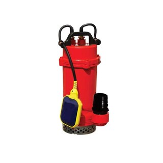 Foto 1 | Foto 1 | Bomba Sumergible Agua Limpia Qdx3-18-0.55 Pumps F&p 3/4 Hp 127v