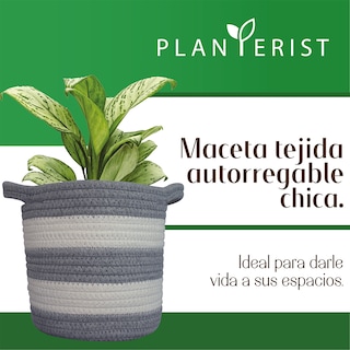 Foto 2 | Foto 2 | Maceta Tejida Autorregable Chica Planterist Moderna Decorativa Santa Catarina