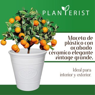 Foto 2 | Foto 2 | Maceta Grande - Planterist - Acabado Cerámico Elegante Vintage color Blanco Brilloso