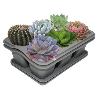 Foto 1 | Foto 1 | Kit 2 Charola Moderna Rectangular Para Suculentas - Smart Garden - Gris