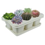Kit 2 Charola Moderna Rectangular Para Suculentas - Smart Garden - Blanco