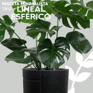 Foto 2 | Foto 2 | Jauz Improvement Maceta Minimalista Lineal Esfera Blanca Interior Exterior Color Negro (mod. J0065)