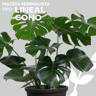 Foto 2 | Foto 2 | Maceta Minimalista Jauz Diseño Lineal Rustic Marrón