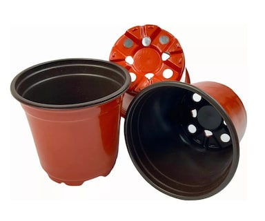 Foto 2 | Foto 2 | Macetitas Terracota Cactus 100 Pzs Marrón Rojizo/negro