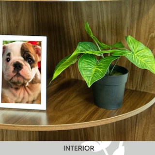 Foto 4 | Foto 4 | Hojas De Taro De Plástico Jauz para Interior Minimalista 3 Piezas