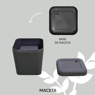 Foto 5 | Foto 5 | Maceta Minimalista Jauz para Interior y Exterior Tipo Cubo Elegante