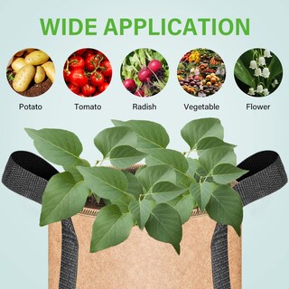 Foto 5 | Foto 5 | Bolsas Para Cultivo De Plantas Ipower, Tela No Tejida De 25 Galones, Paquete De 5 - Venta Internacional.