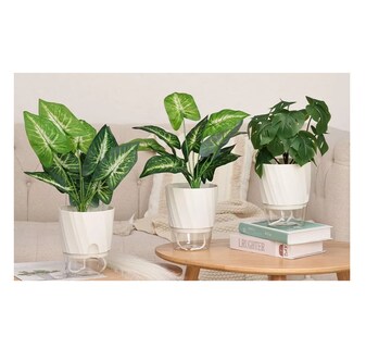 Foto 2 | Foto 2 | Sistema De Riego Automático De Plantas Y Flores, 6 Pzs, Blanco