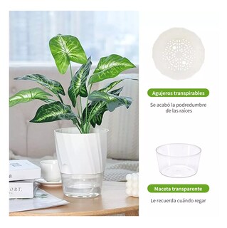 Foto 5 | Foto 5 | Sistema De Riego Automático De Plantas Y Flores, 6 Pzs, Blanco